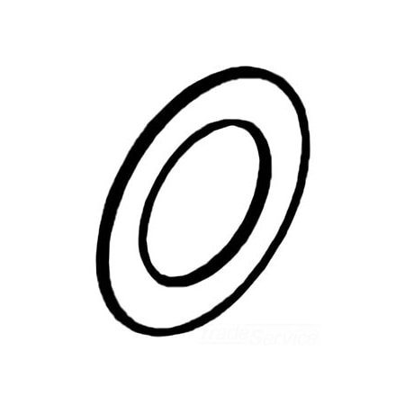 Kohler Friction Washer 1006333